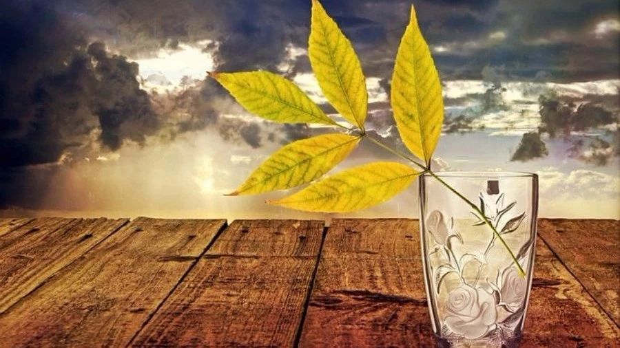 【多相流计算】案例01：湿蒸气冷凝-析模界