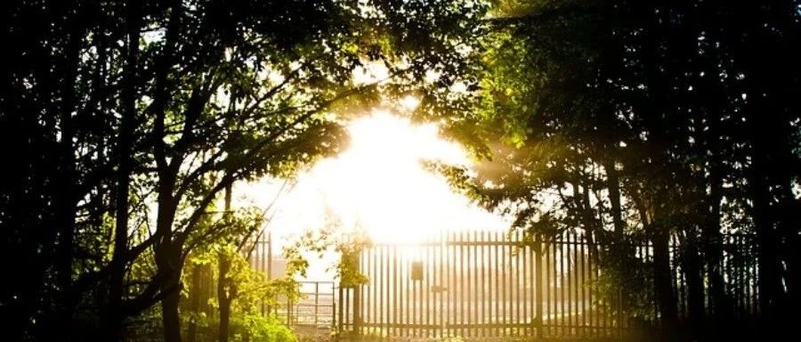 OpenFOAM|19 初始条件与边界条件-析模界