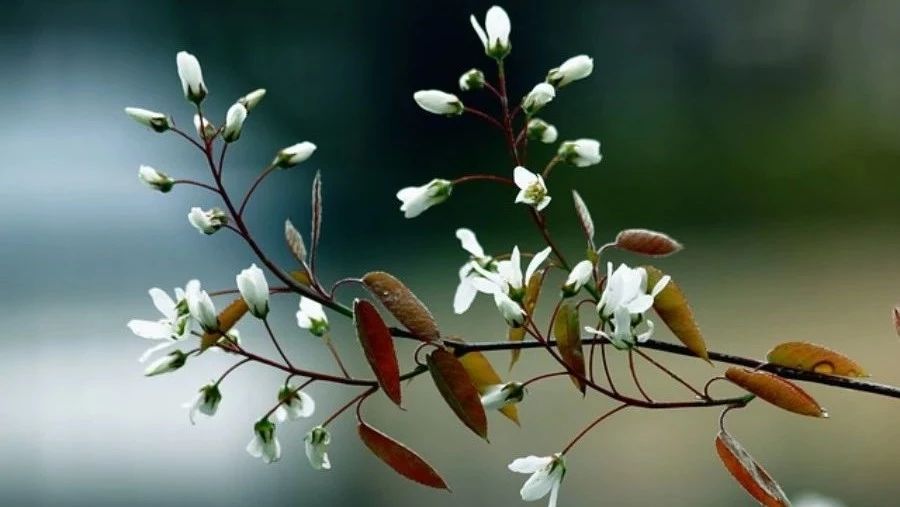 【燃烧案例】05：液体混合化学反应-析模界