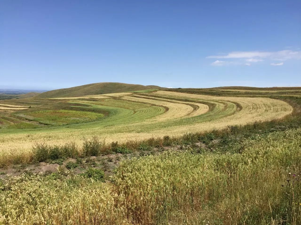 仿真——从虚拟空间认识真实世界-析模界