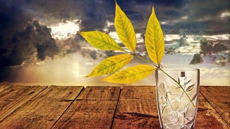 胡言乱语-析模界