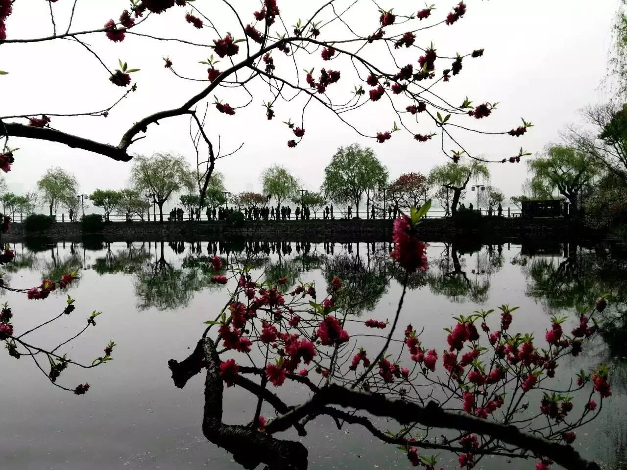 空化与空泡——从烧开水到超空泡-析模界
