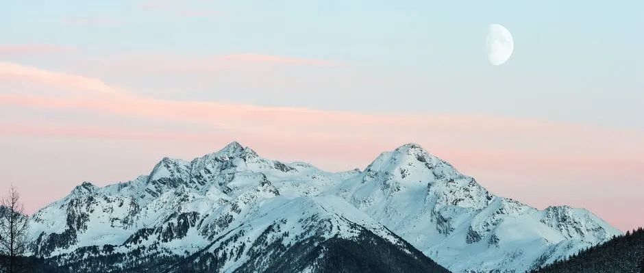 CFD之道微信群-析模界