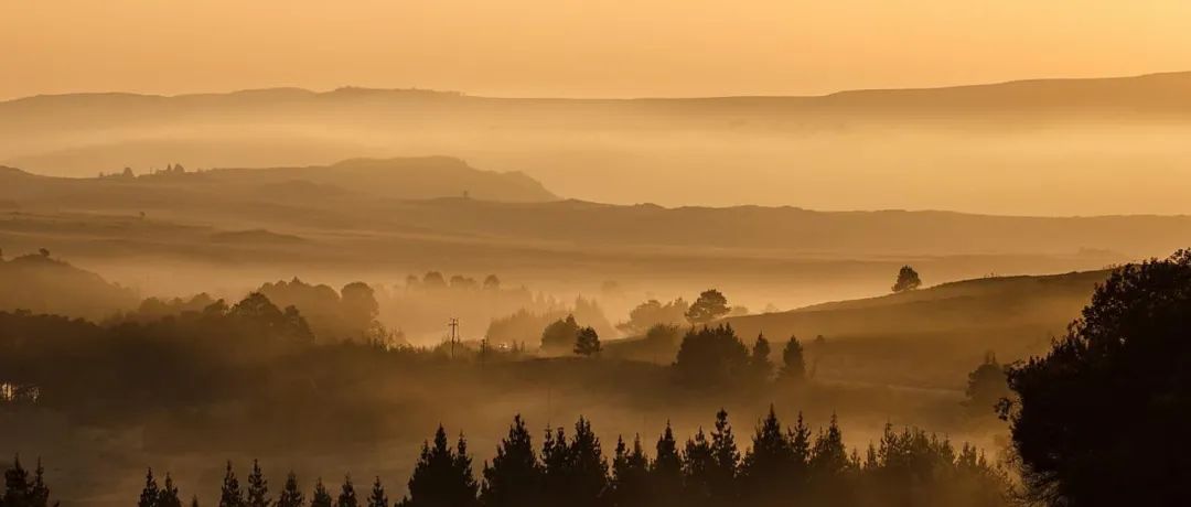 可压缩流动计算-析模界