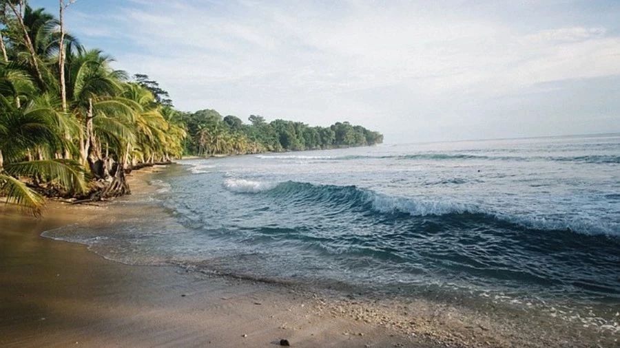 【网格】04：SCDM几何建模-析模界