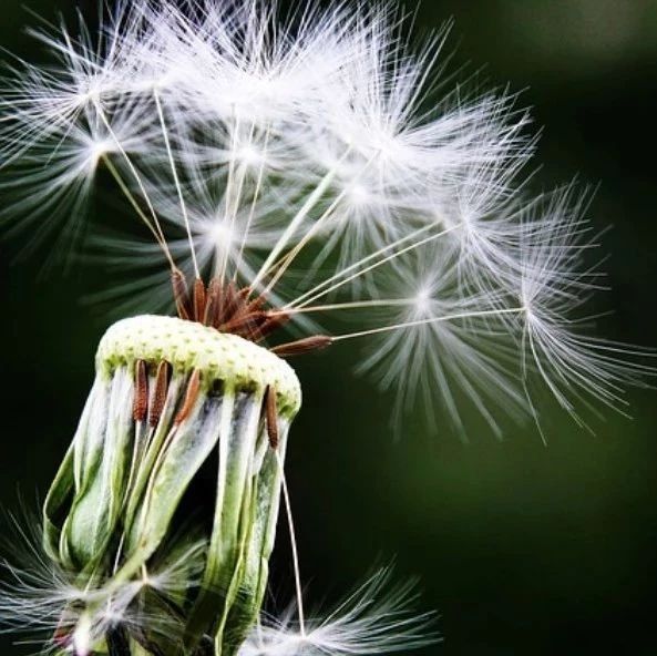 Fluent验证案例65:扩散管内旋转湍流流动-析模界