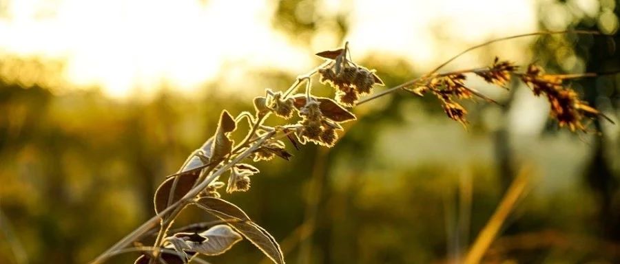 试用｜国产CFD软件PHengLEI-析模界