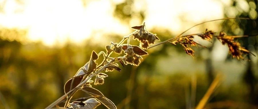 OpenFOAM|07 Case文件结构-析模界