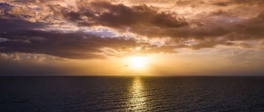 Fluent案例|SNCR模拟-析模界