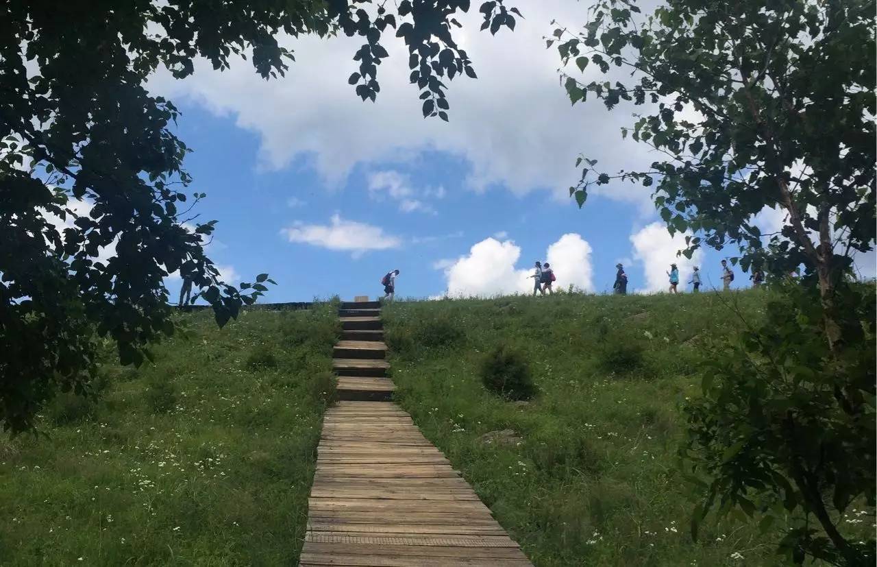 一个可以精细策划的实验还需要做吗?-析模界