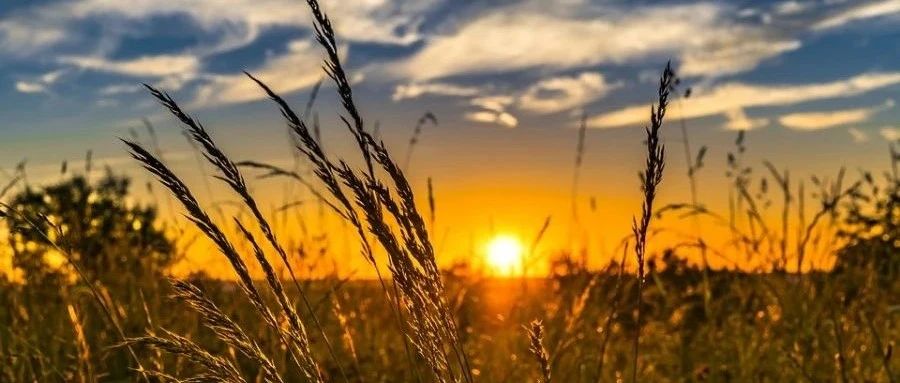 邀请各路道友参加行业CFD应用软件大调研-析模界