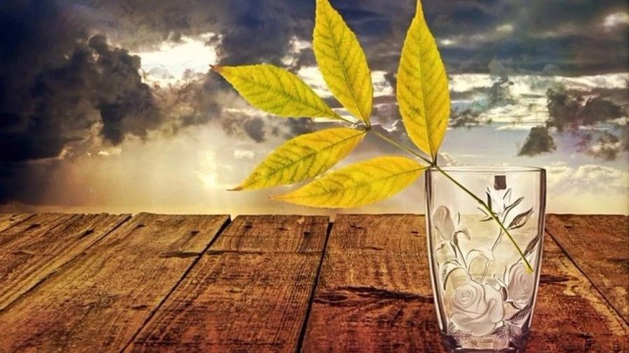 Fluent验证案例27：后向台阶湍流流动-析模界