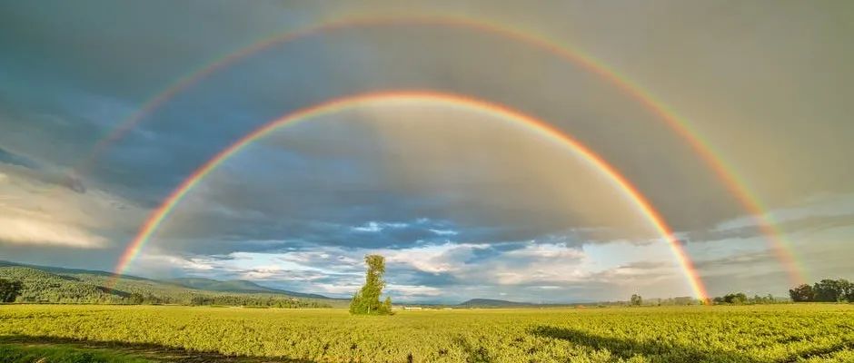 简单聊聊OpenFOAM编程-析模界