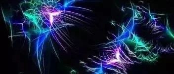 OpenFOAM应用|02 GUI工具-析模界