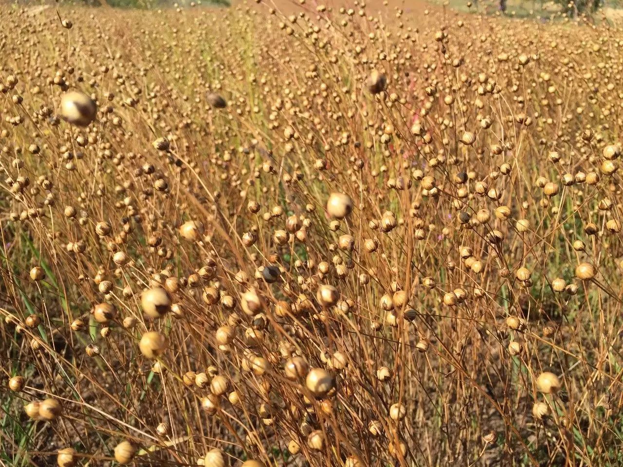 需求为根,成本为王,做个优秀CFD民工-析模界