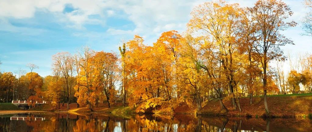 STAR CCM+案例｜风扇-析模界