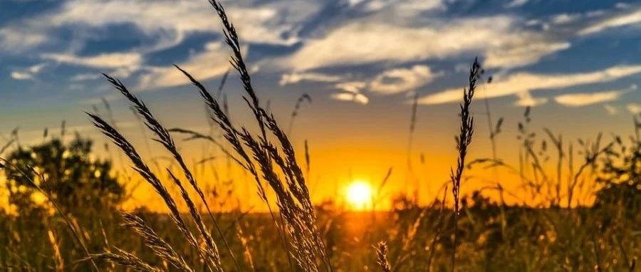 UDS稳态案例-析模界