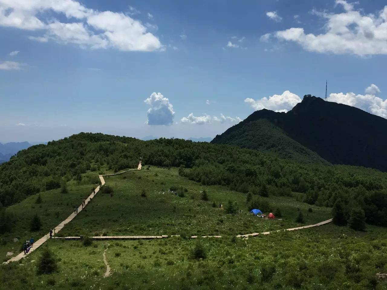 午饭效应——如何推出简单实用的方案-析模界