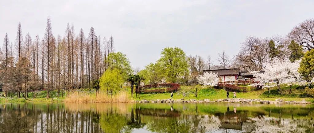 将Fluent cas文件转换为几何文件-析模界