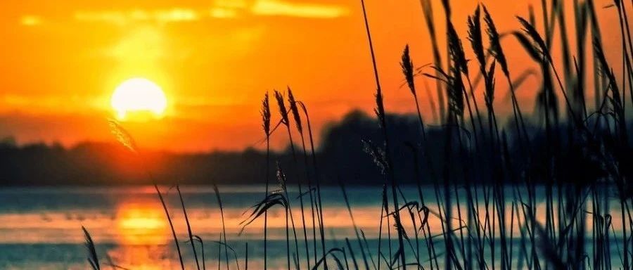 OpenFOAM｜验证02 通过均匀热通量管道的层流流动-析模界