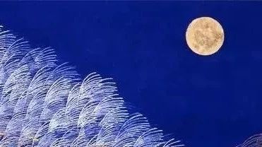 买技术是个技术活-析模界