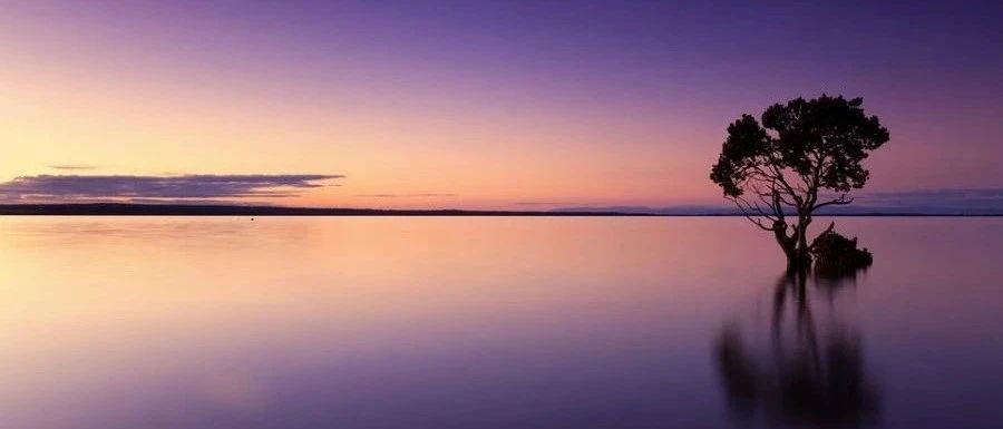 Fluent TUI｜01 简介-析模界