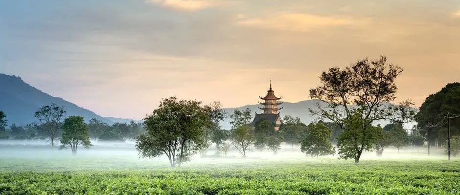 Fluent沸腾模拟总结-析模界