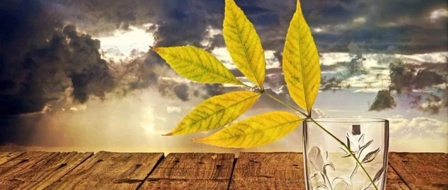 SCDM曲面几何清理-析模界