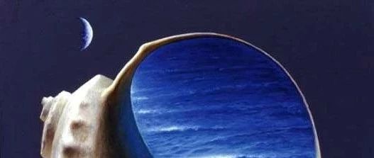 如何跳出“抢风险”的怪圈？-析模界