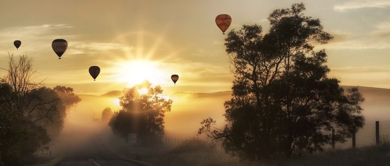 OAT15A翼型跨声速流动-析模界