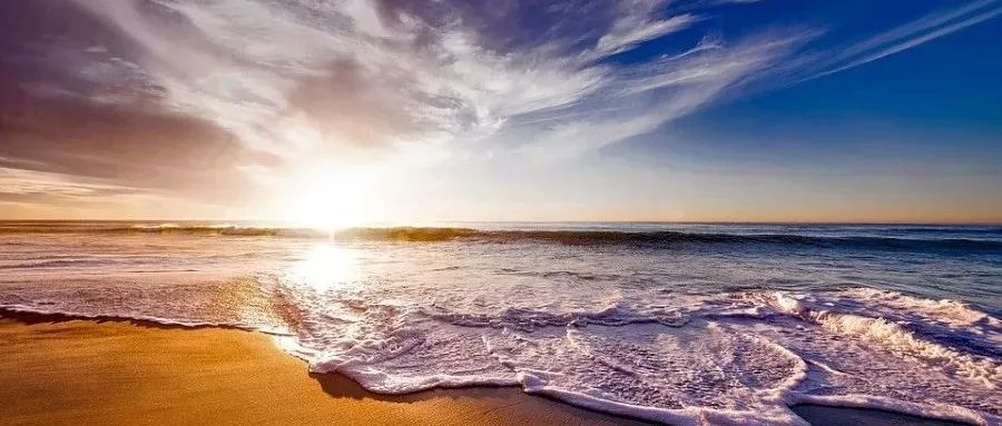 OpenFOAM编程｜极简03：开发一个求解器-析模界