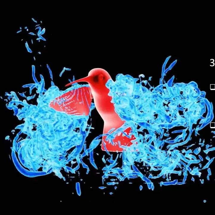 蜂鸟的飞行奥秘-析模界