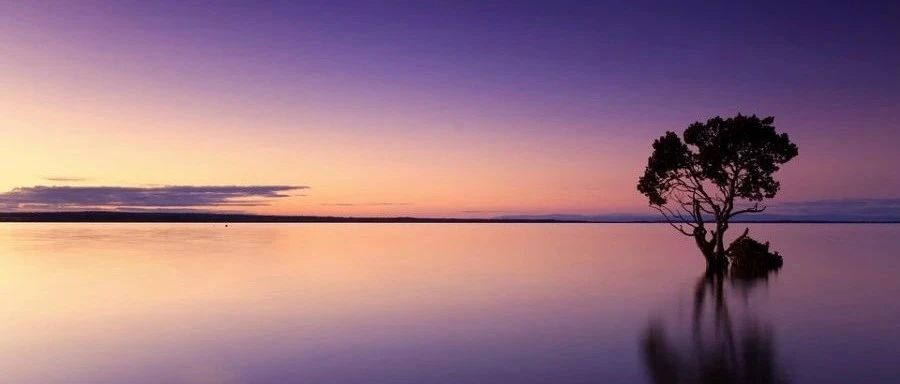 聊聊流固热耦合-析模界