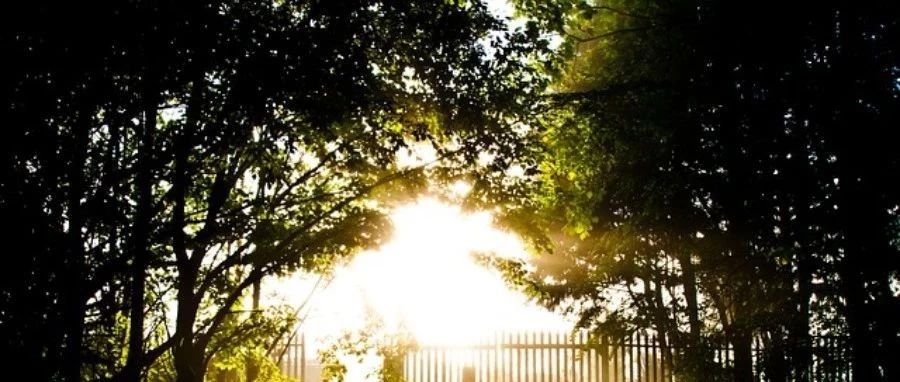 Fluent验证案例43：平板边界层转捩-析模界