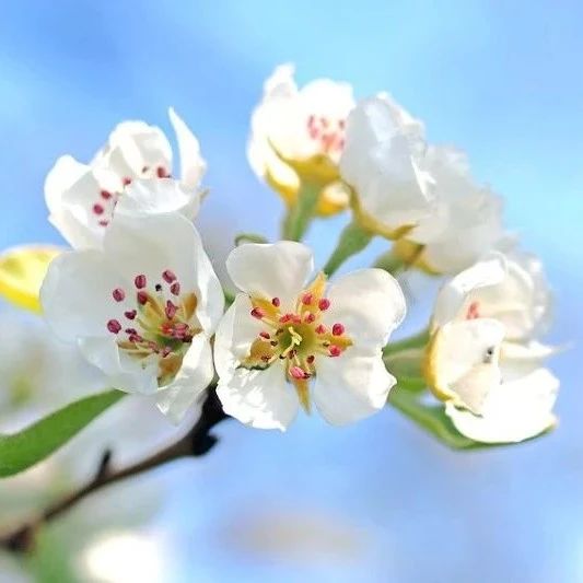 Julia CFD|10 二维Burgers方程-析模界