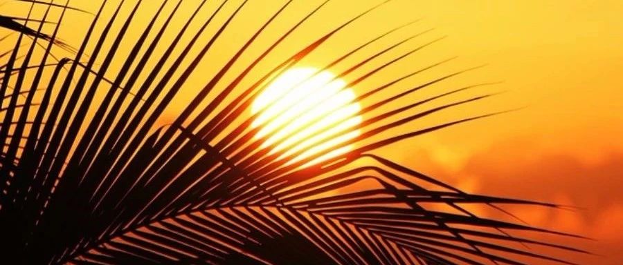 Fluent传热|04 散热器自然对流-析模界