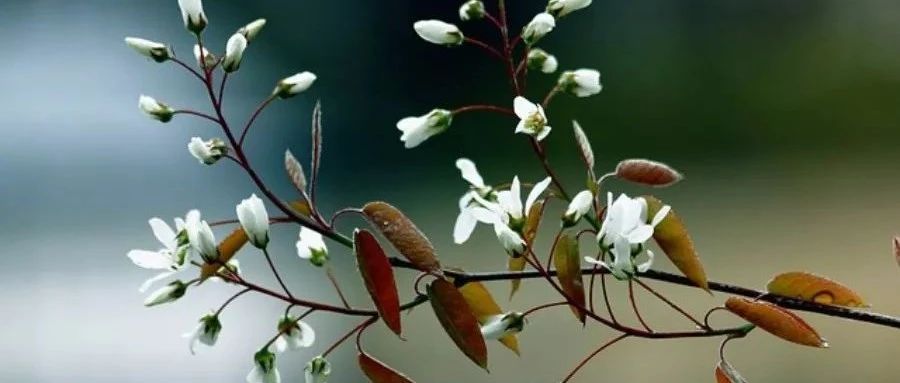 DPM｜05 传热与传质[2]-析模界