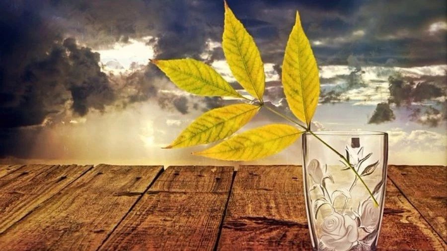 【多相流计算】06：油箱晃动-析模界