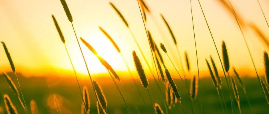 鹅厂服务器Wordpress配置SSL-析模界