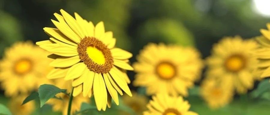 Fluent边界｜04 质量流量入口-析模界