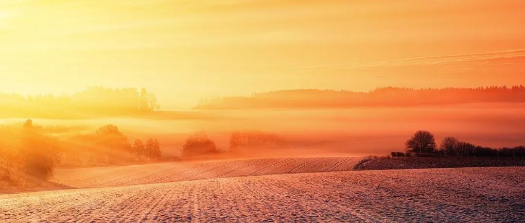 聊聊自主可控的那点事儿-析模界