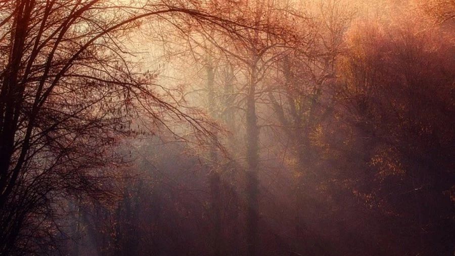 CFD与机器学习-析模界