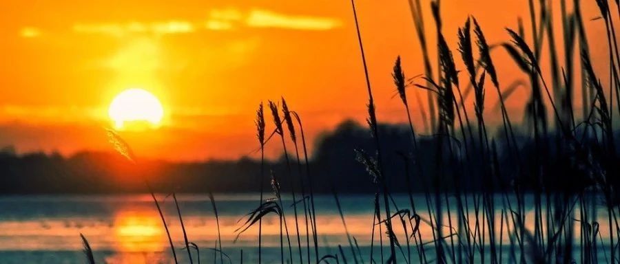 Fluent|PEM燃料电池-析模界