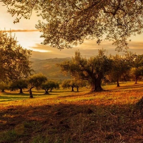 CFD理论扫盲|03 向量微积分-析模界