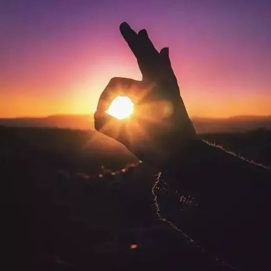 【流固耦合案例】01:挡板(1)-析模界