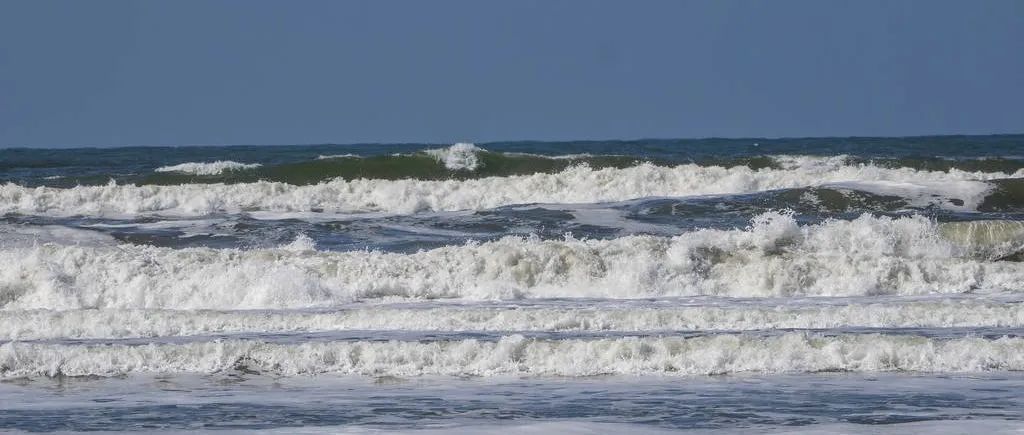 CFD 02 流体控制方程 录播回看-析模界