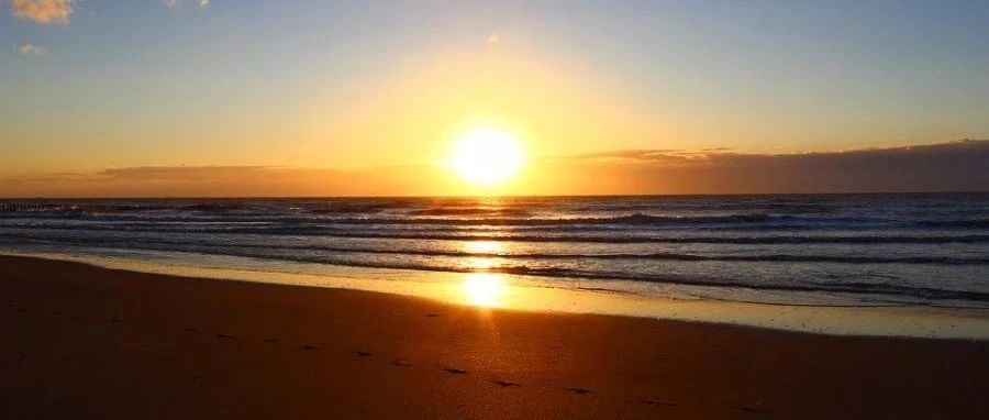 【Icepak案例】01：翅片散热器-析模界