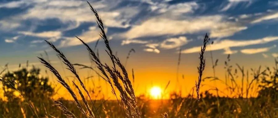 OpenFOAM编程｜极简02：创建一个工具程序-析模界