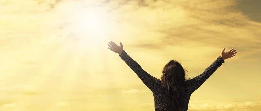 OpenFOAM|13 场数据处理-析模界