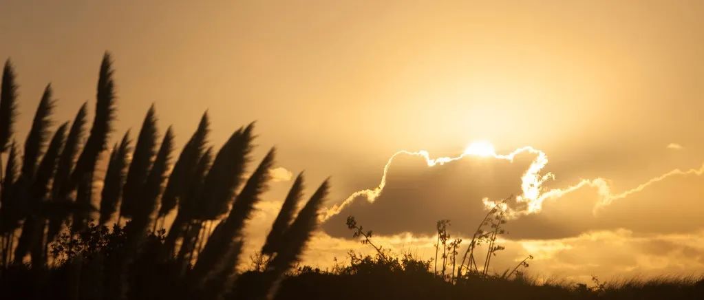 STAR CCM+中进行传热计算的一些总结-析模界